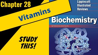 Lippincotts Biochemistry Review Chapter 28 Vitamins  Study This [upl. by Meer237]