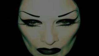 diamanda galas  vena cava pt2 [upl. by Brunk164]