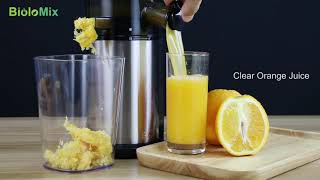 Biolomix Stainless Steel Masticating Slow Juicer [upl. by Adamson]