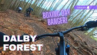 BOXING DAY DALBY FOREST SESSION MTB [upl. by Anaeerb]