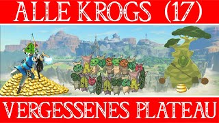 Alle Krogs 17 Vergessenes Plateau The Legend of Zelda Brreath of the Wild Guide [upl. by Latsyrcal]