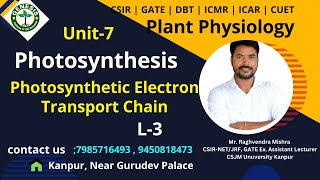 Photosynthetic Electron Transport Chain  Photosynthesis  Plant Physiologygenesisinstitute [upl. by Salim360]