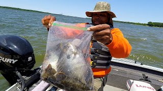 Insane 7 biggest Tournament Winning bluegills [upl. by Eberle]