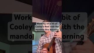 Working on a bit of Cooley’s Reel with the mandola this morning [upl. by Rednal]