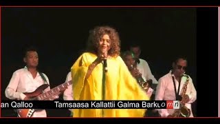 Hamelmal Abate  Afran Qalloo Concert  2019 [upl. by Gwenneth]