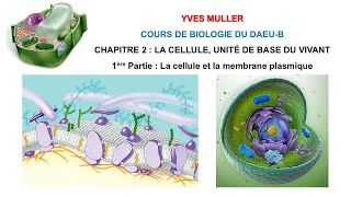 Chapitre 2 – 1ère Partie  La cellule et la membrane plasmique  Cours de Biologie du DAEUB [upl. by Ezitram]