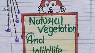 class 9 project file on natural vegetation and wildlife toptargeteducation [upl. by Nirehtak959]