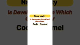 Nasal cavity is developed from which germ layer [upl. by Sheryle]