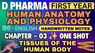 Tissue  Ch03  Human Anatomy and Physiology Notes  D Pharm 1st year tissue dpharma1styear hap [upl. by Ocer]