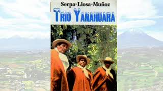 TRÍO YANAHUARA  Música Arequipeña [upl. by Nil]