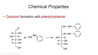 Carbohydrates Physical and Chemical Properties  Lecture 6b [upl. by Ekle]