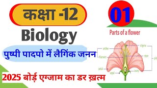 पुष्पी पौधो मे जनन  Reproduction in flowering plants angiosperm plant  class 12 Biology in hindi [upl. by Weber733]