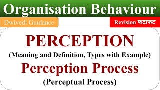 Meaning of Perception perception process perceptual process ob organisational behaviour [upl. by Steel]