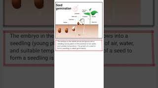 SEED GERMINATION biology icsebiology icsetextbook educational shorts [upl. by Lucille]