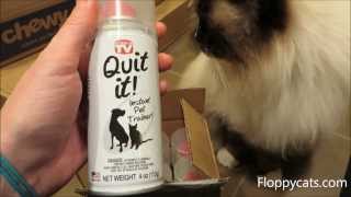 Quit It™ QuitIt Pet Noise Maker and Pet Training  ねこ  ラグドール  Floppycats [upl. by Ierna]