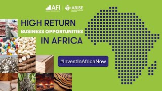 Highreturn Business Opportunities for Investors in Africa [upl. by Allebram224]