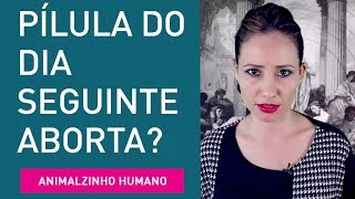 Pílula do dia seguinte é abortiva Contracepção  Animalzinho Humano [upl. by Beaumont]