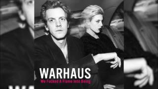 Warhaus Im Not Him [upl. by Hussar591]