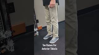 Toe Raises For Anterior Tibialis [upl. by Eidoow26]