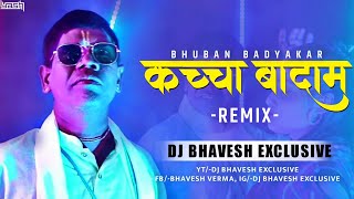 Kacha Badam কাঁচা বাদাম Video Remix  Dj Bhavesh Raipur [upl. by Elleinad387]