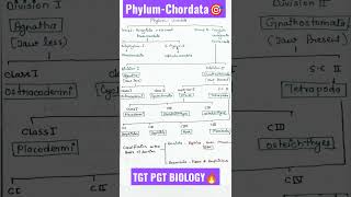 PhylumChordataAnimal kingdomClassification of chordataTGT PGT BIOLOGYbiology science shorts [upl. by Notsirhc]