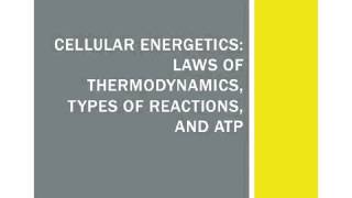 Cellular Energetics Laws of Thermodynamics Types of Reactions and ATP [upl. by Llenrag]