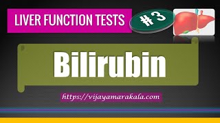 Bilirubin Urobilinogen Stercobilin Bile salts Liver Function Tests LFT Part 3 [upl. by Farrish]