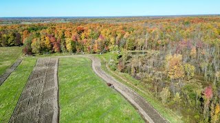 AERIAL VIEW OF THREE HORSES PLOWING A FIELD 700 [upl. by Danaher]