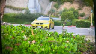 BeastCage x BeastGrip DOF MK3 x Canon 50mm x BMW M4 [upl. by Arvid724]