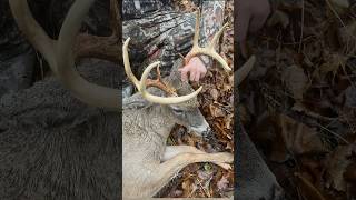 Is Your Broadhead Choice Hurting Your Deer Hunting Success deerhunting bowhunting [upl. by Eelyab]