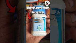 पौधों के लिए यह है सबसे बेस्ट Fungicide  ytshorts youtubeshorts bestfungicide [upl. by Niatsirt281]