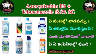 Azoxystrobin 11  Tebuconazole 183 fungicide  తెగుళ్ల మందు  Custodia Spectrum Offcial  Kyoto [upl. by Weingartner40]