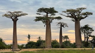 Madagascar 1ère partie De Tananarive à Morondava [upl. by Eindys]