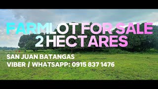 Vlog 59 FARMLOT FOR SALE  SAN JUAN BATANGAS  2 HECTARES [upl. by Etteb]