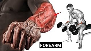 How To Get Bigger Forearms  Forearms Workout At Gym  Top 6 Forearm Exercises [upl. by Agnola]