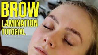 HD Brow Lamination Step By Step Tutorial Big Brows [upl. by Burk]