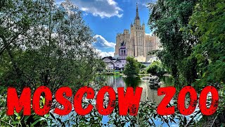 Moscow Zoo Russia short video [upl. by Sapers]