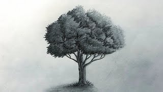 How to Draw Realistic Trees Pencil Sketch Tutorial [upl. by Anielram]