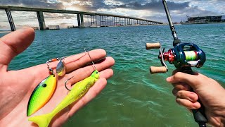 catch and cook redfish during 1000000 fishing tournament [upl. by Karb]