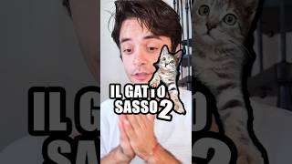 Il gatto sasso 2 🐈 [upl. by Pike901]