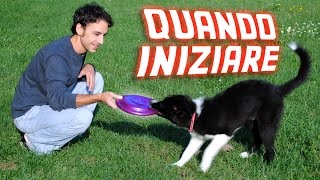 QUANDO è meglio INIZIARE ad ADDESTRARE un CANE [upl. by Osman]