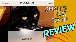 Smalls Cat Food Review 2024 Why its the best cat food [upl. by Iztim]