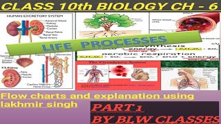 Class 10th Biology Ch6 LIFE PROCESSES full explanation NCERT Lakhmir singh with important topics [upl. by Lahcear]