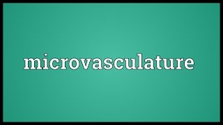 Microvasculature Meaning [upl. by Abrams]