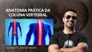 AO VIVO ANATOMIA PRÁTICA DA COLUNA VERTEBRAL  anatomiafacil [upl. by Stagg619]