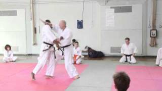 Aikido  Renzoku Waza 1MP4 [upl. by Bunns17]