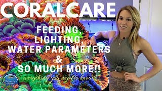 Coral Care  Feeding Lighting Reef Parameters amp More  Mindis Coral Reef [upl. by Akiria76]