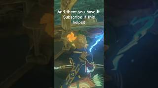 How to perform blss glitch in botw zelda viralvideo zeldabotw botw glitch [upl. by Nnylarak]