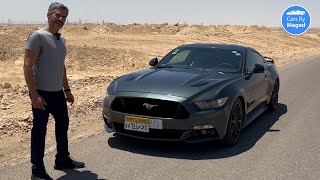 مفيش امتع من كده  Mustang GT 50 Manual موستانج [upl. by Arised52]