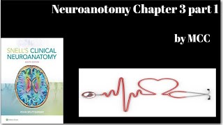 Neuroanotomy chapter 3 part1NervesMyelination processPeripheral nervesSensoryAutonomic ganglie [upl. by Ennairb]